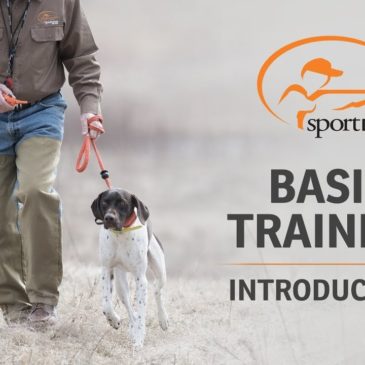 Basic Training :: Introduction to SportDOG® Brand